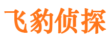 唐县市调查公司